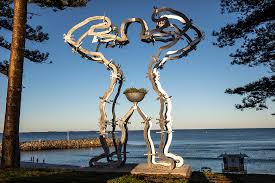 6个最好的Chrome浏览器 机场插件-小火箭