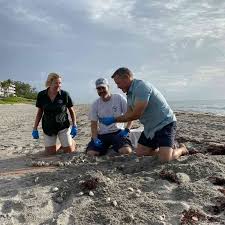 最好用的5个机场 推荐-小火箭