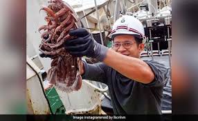 最快的国外机场服务-小火箭