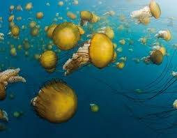 Express机场 最新评测（中国实测）-小火箭