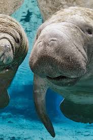 机场如何工作？-小火箭