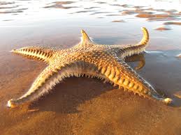 你不知道你可以用机场做10件事情-小火箭