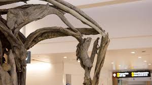 如何在国内购买使用Express机场？-小火箭