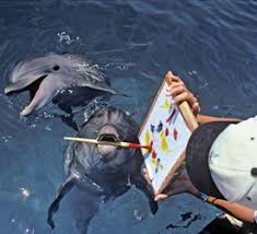 如何在中国使用Facebook，Twitter，Instagram和Gmail？-小火箭