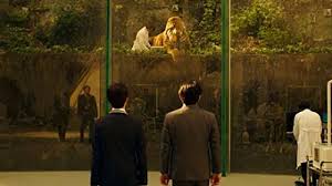 通过机场服务安全地使用公共Wi-Fi-小火箭