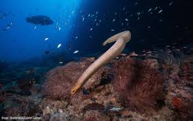 移动互联网的机场应用程序-小火箭