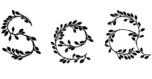 Netflix中国大陆解锁观看中文教程指南-小火箭