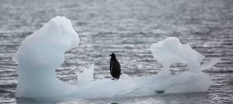 Vypr机场梯子软件评测,中国梯子最可靠的机场-小火箭