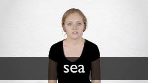 隐藏真实IP更安全自由6个选用Surfshark 机场的理由-小火箭