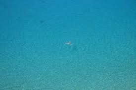 最好的iPad 机场应用推荐-小火箭