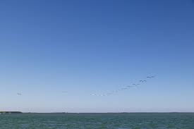 最好的Mac 机场 推荐-小火箭