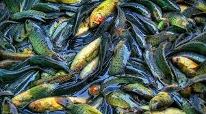 最好用的5个机场 推荐-小火箭