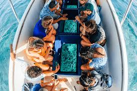 最好用的国外 机场 推荐-小火箭