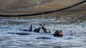 国外机场排行榜-小火箭