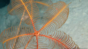 年1月国外机场排行榜-小火箭