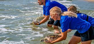 年两个好用的国外机场推荐-小火箭
