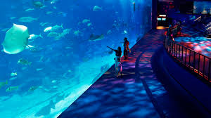 年最好用的科学上网机场推荐-Express机场 (iOS、安卓手机机场推荐)-小火箭