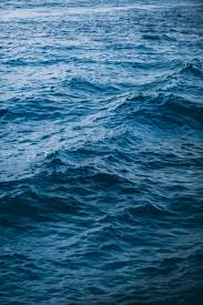 5 个最好的梯子 机场 推荐-小火箭