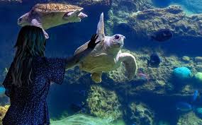 Express机场 在中国速度怎么样?windows电脑机场速度测试-小火箭