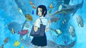 Express机场深度评测,快速稳定值得推荐-小火箭