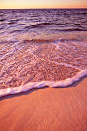 Pure机场 深度评测 | 适合中国大陆梯子的机场推荐-小火箭