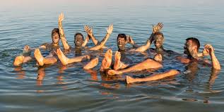 机场评测网精选国外最靠谱的10家机场服务商（ 机场 top 10），综合比较得出排名，避免您的时间浪费-小火箭