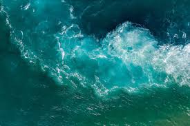 如何下载安装 Express机场的Chrome扩展-小火箭