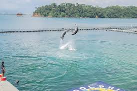 使用机场玩游戏需要了解的5个小知识-小火箭