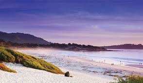 使用机场怎么看岛国动作片(jav)？看片机场推荐 年可用-小火箭